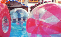 top body zorb ball for joy